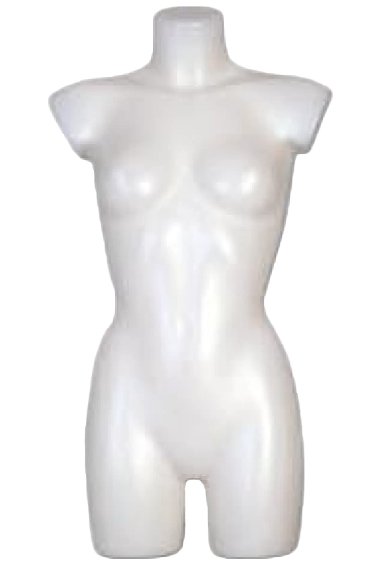 Busto standard